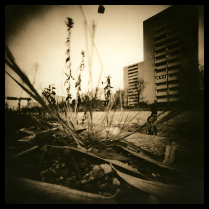 Urban Nature 2, taken with a converted Agfa Isolette